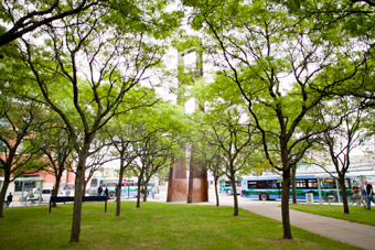 Cathedral of the Immaculate Conception