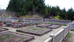 Restoration of terrace garden