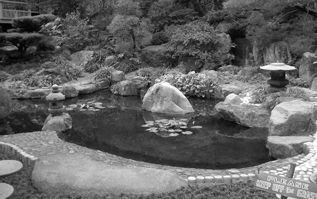 Hannah Carter Japanese Garden