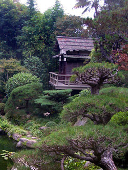 Hannah Carter Japanese Garden 