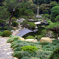 Hannah Carter Japanese Garden