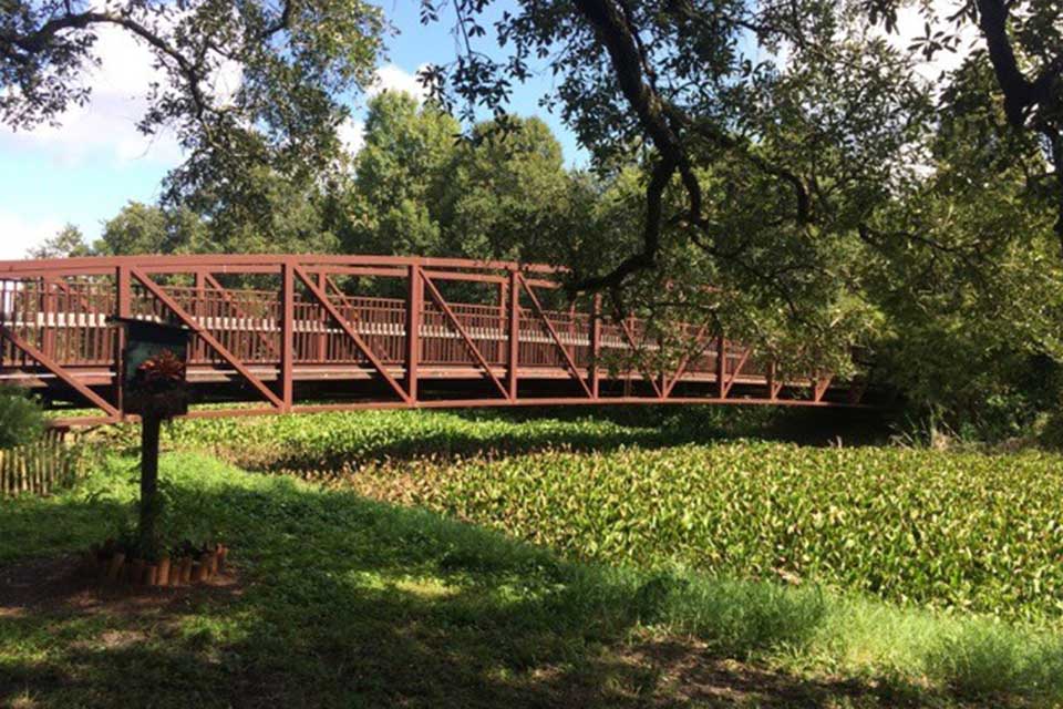 Audubon Park and City Park