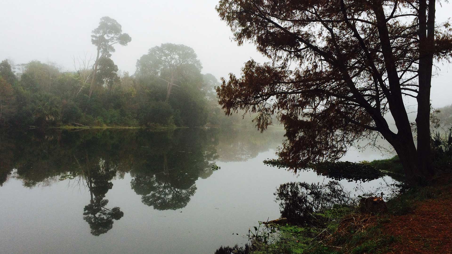 Audubon Park and City Park