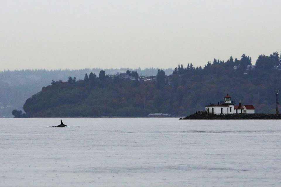 Discovery Park