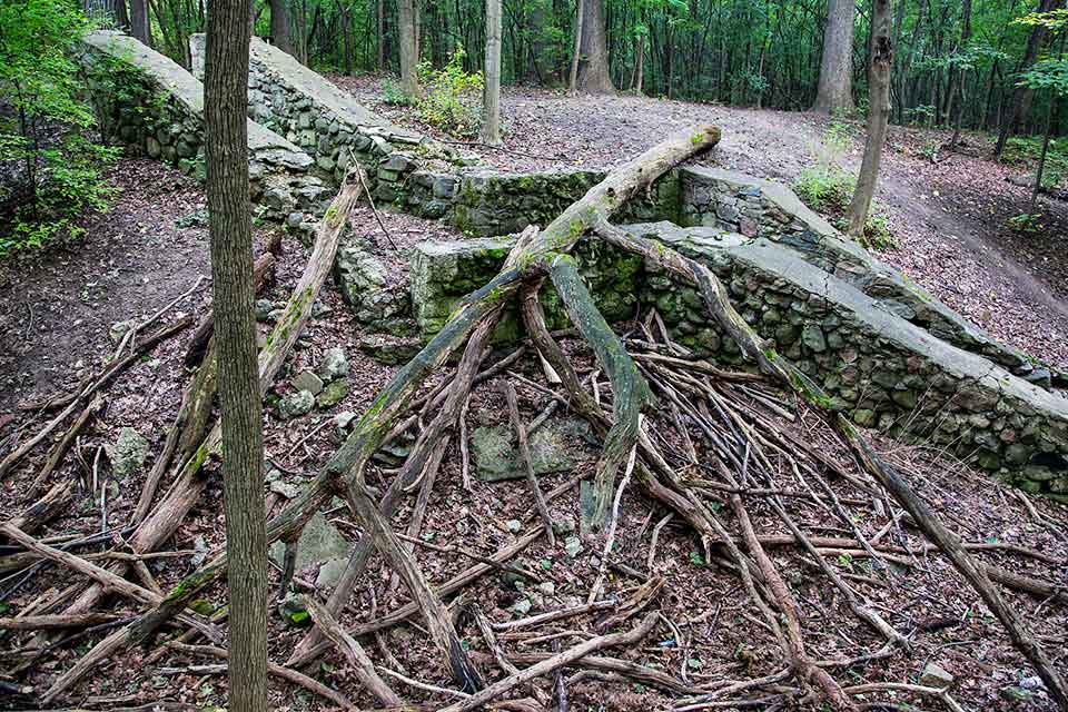 Sanctuary Woods