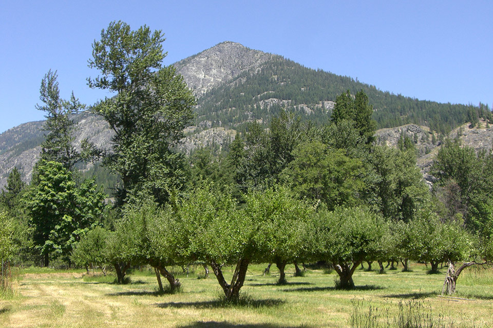 Buckner Homestead Historic District