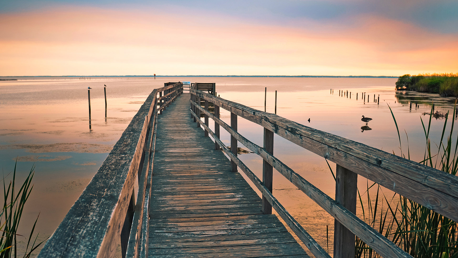 Cape Hatteras National Seashore