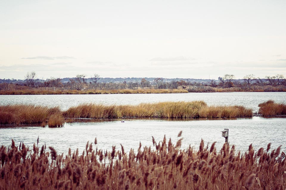 Gateway National Recreation Area