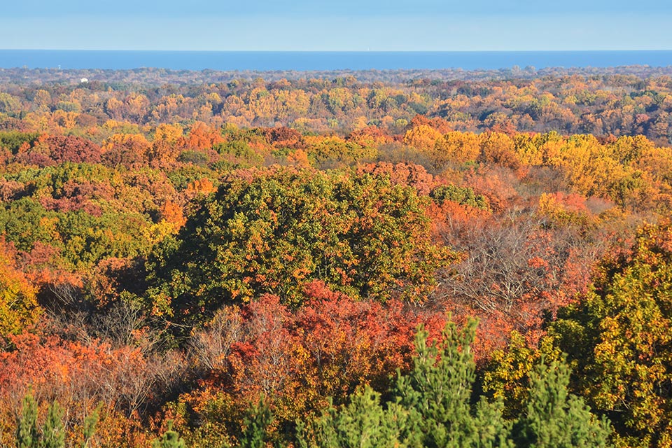 Holden Arboretum