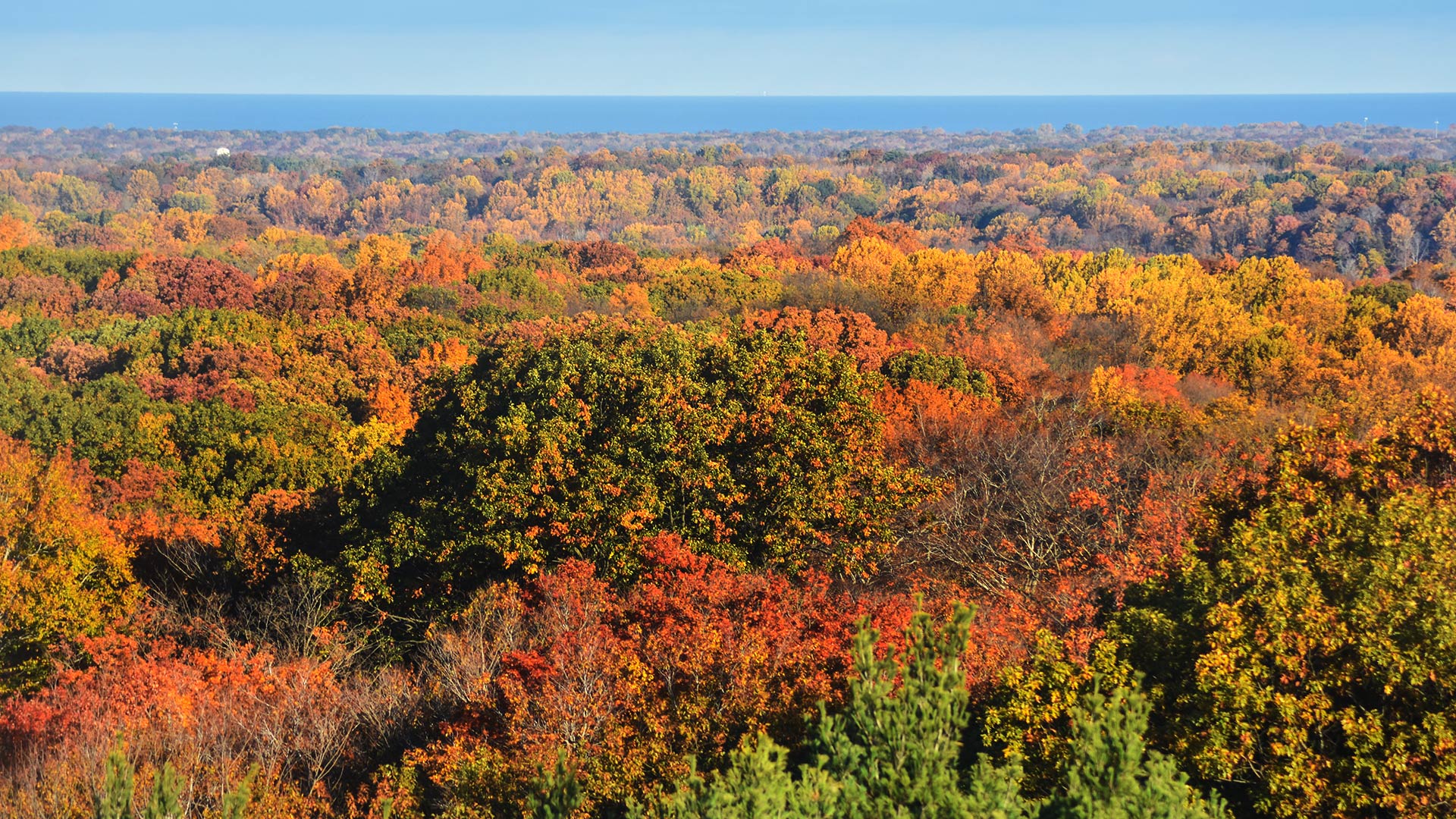 Holden Arboretum