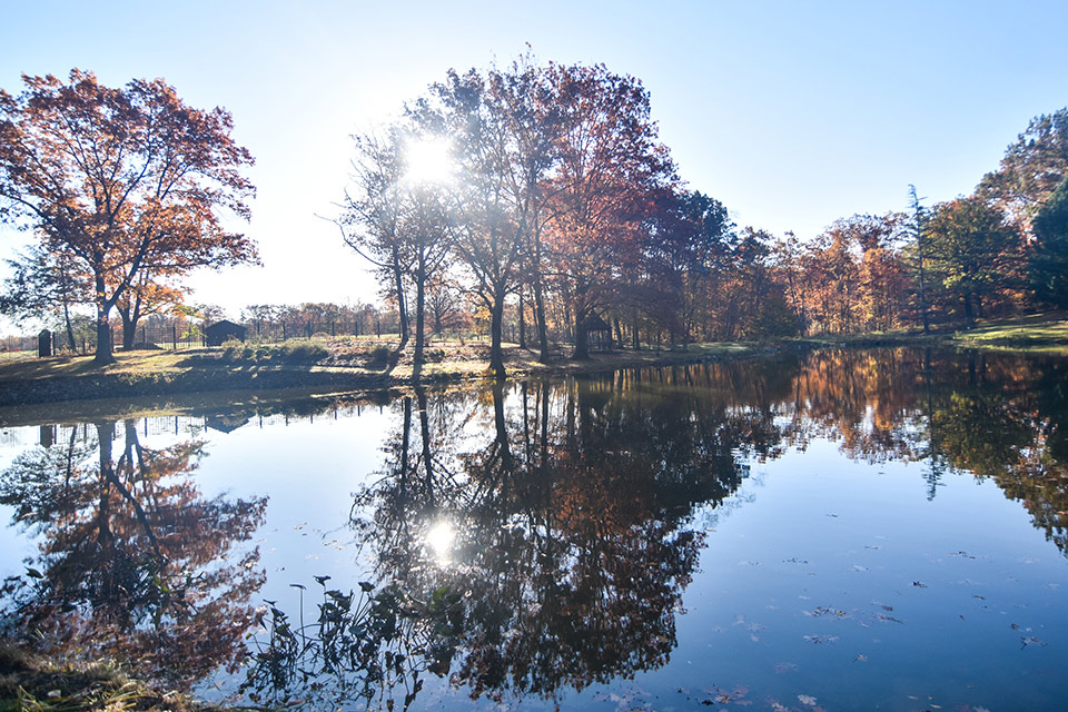 Holden Arboretum