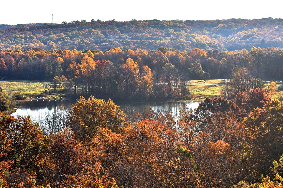Holden Arboretum