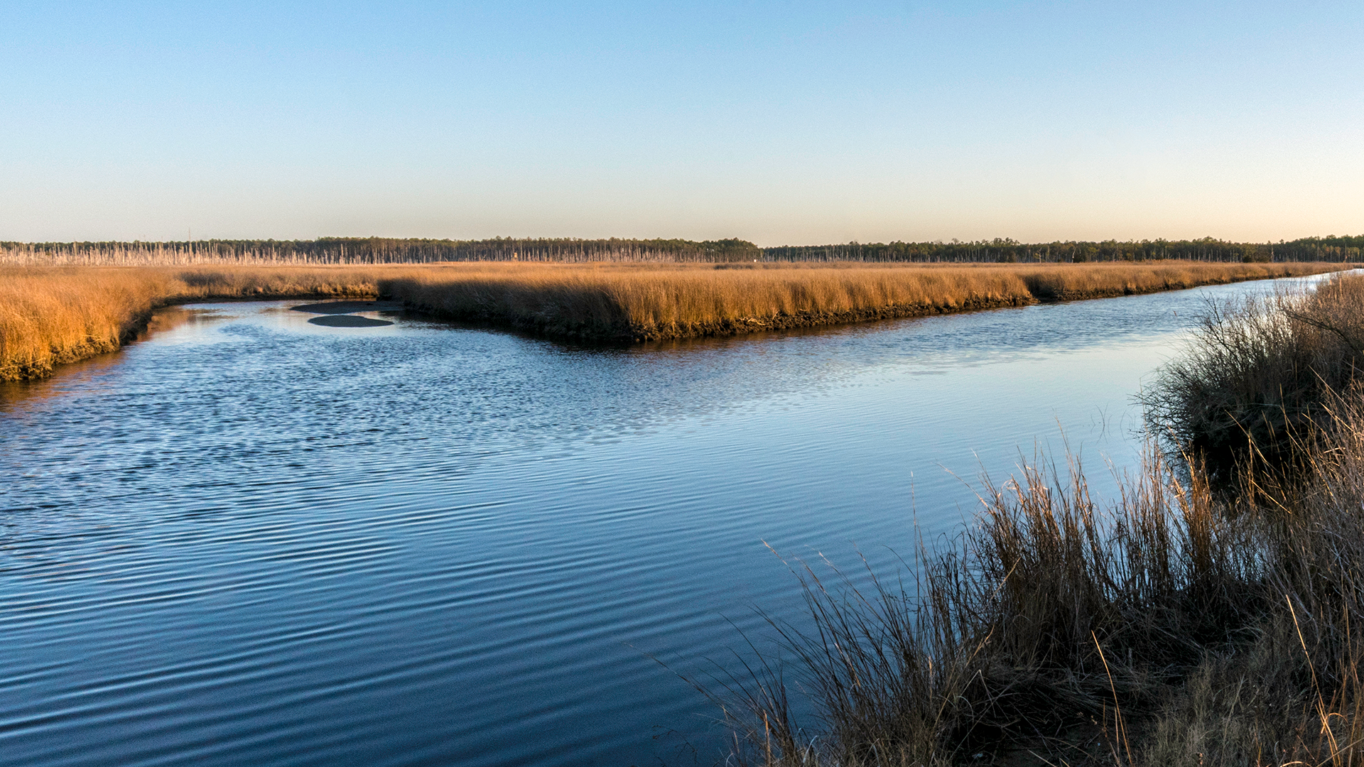 Harriet Tubman Underground Railroad National Monument and Blackwater Wildlife Refuge