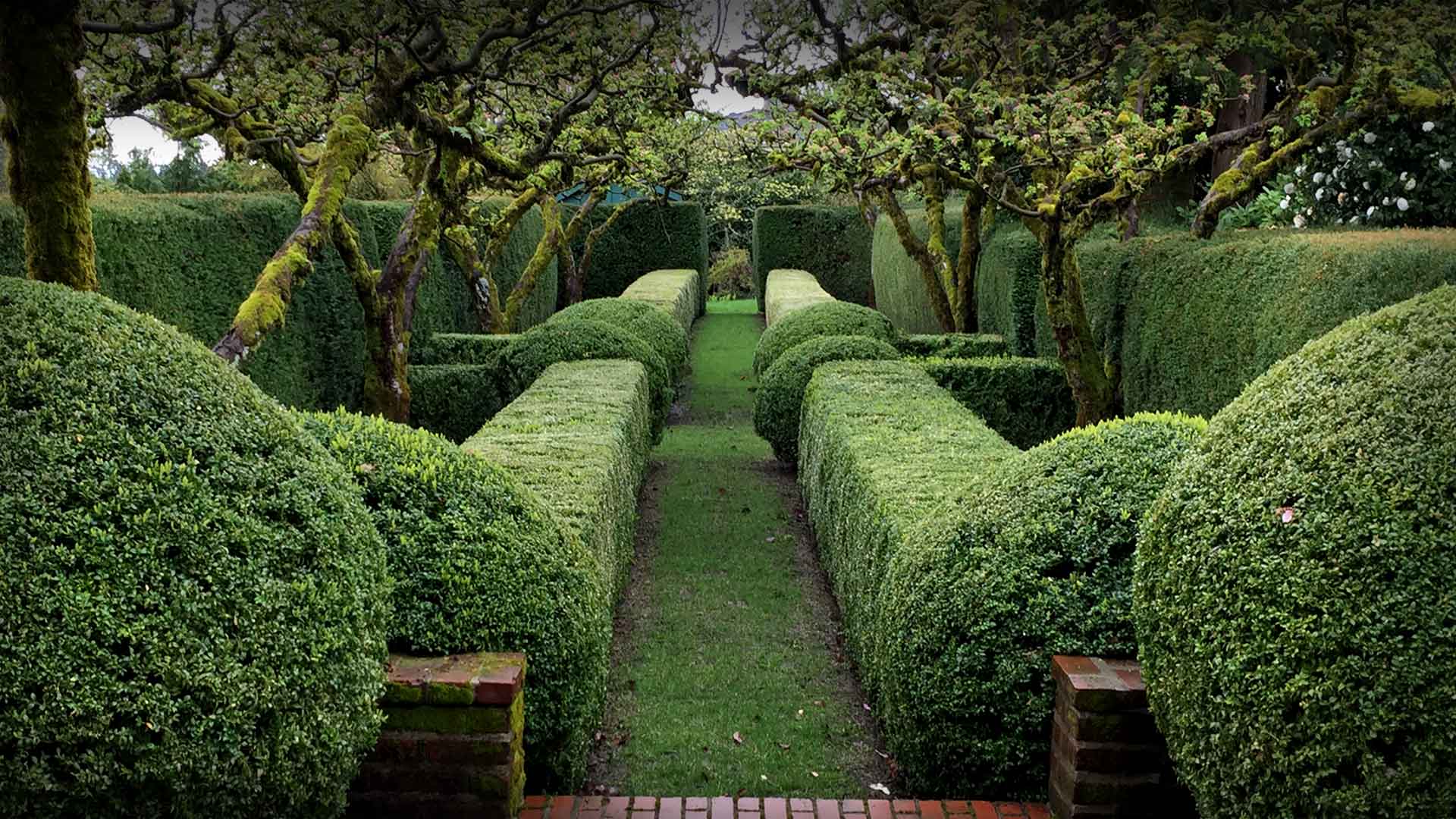 Beebe Garden