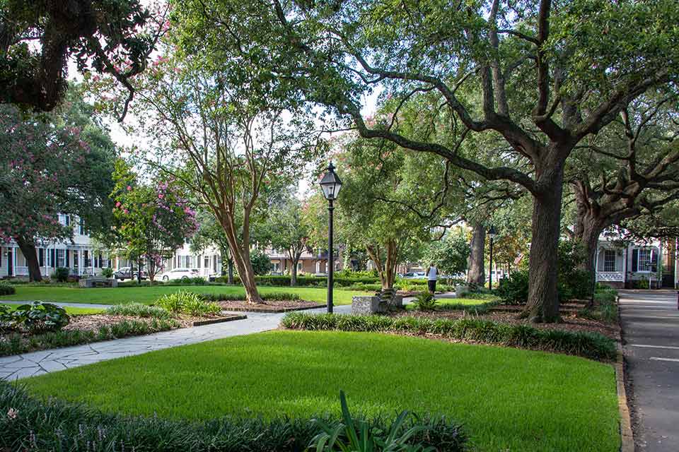 Public Landscapes of Clermont Lee in Savannah