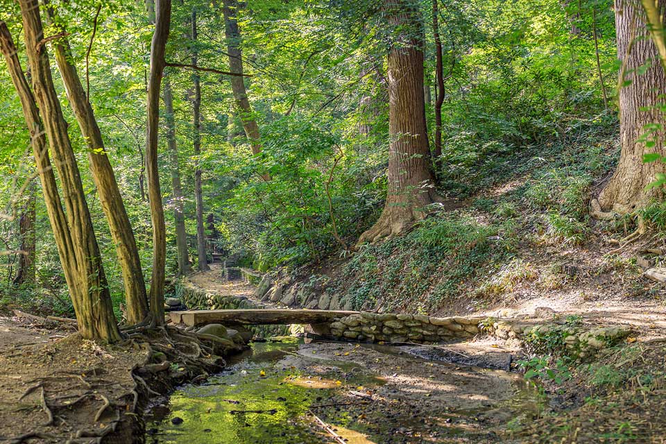 Dumbarton Oaks Park