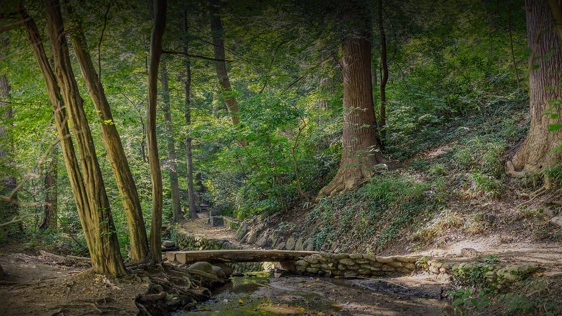 Dumbarton Oaks Park