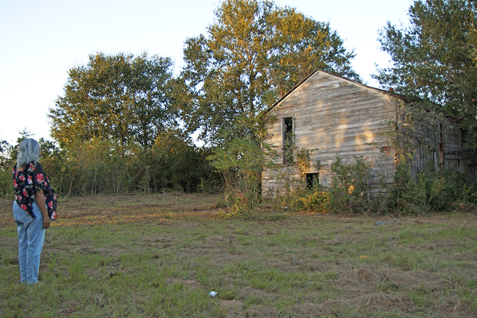 Image Alt Text