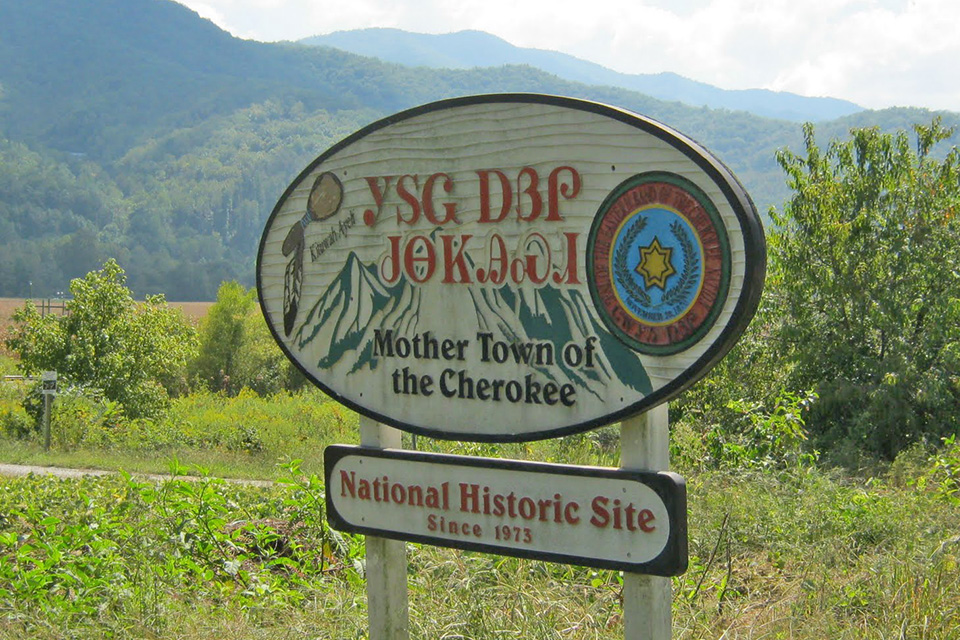 Image 1 Alt Text