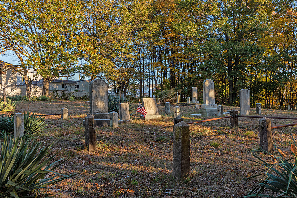 Image Alt Text
