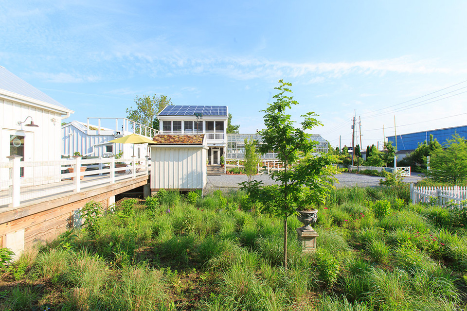Image Alt Text