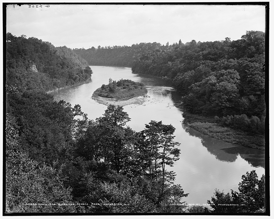 Image 1 Alt Text