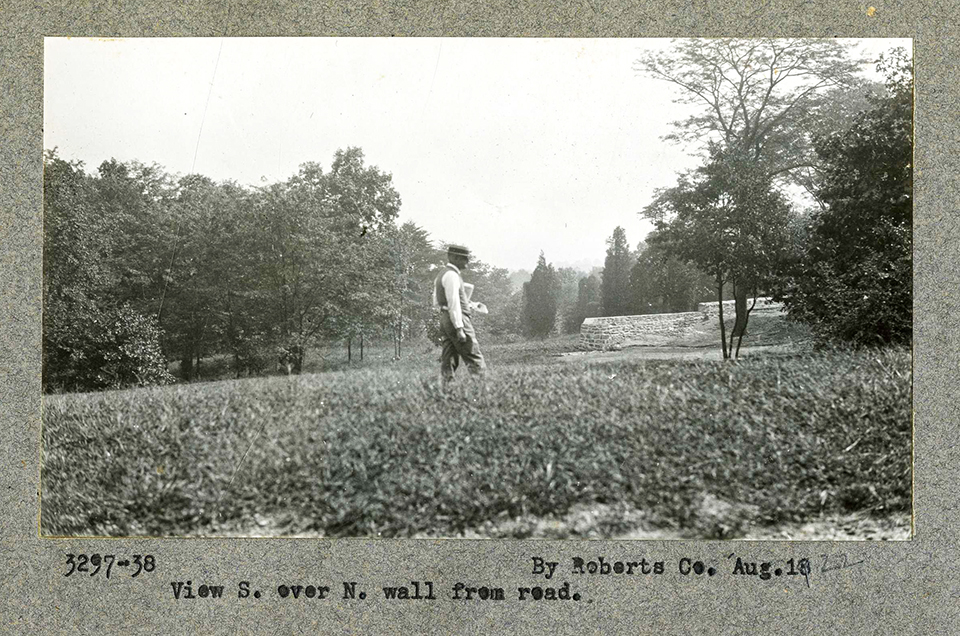 Image 1 Alt Text