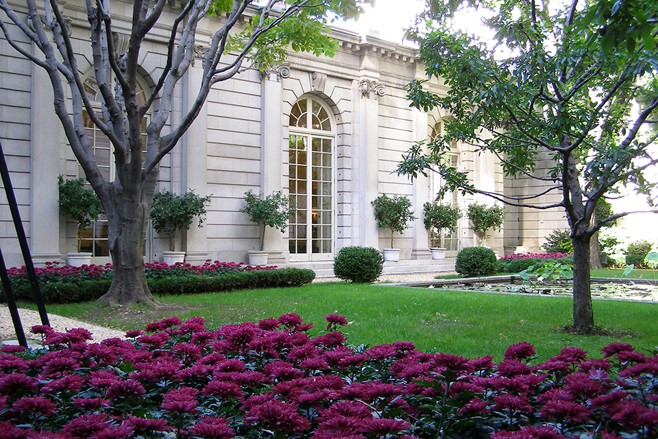 Image Alt Text
