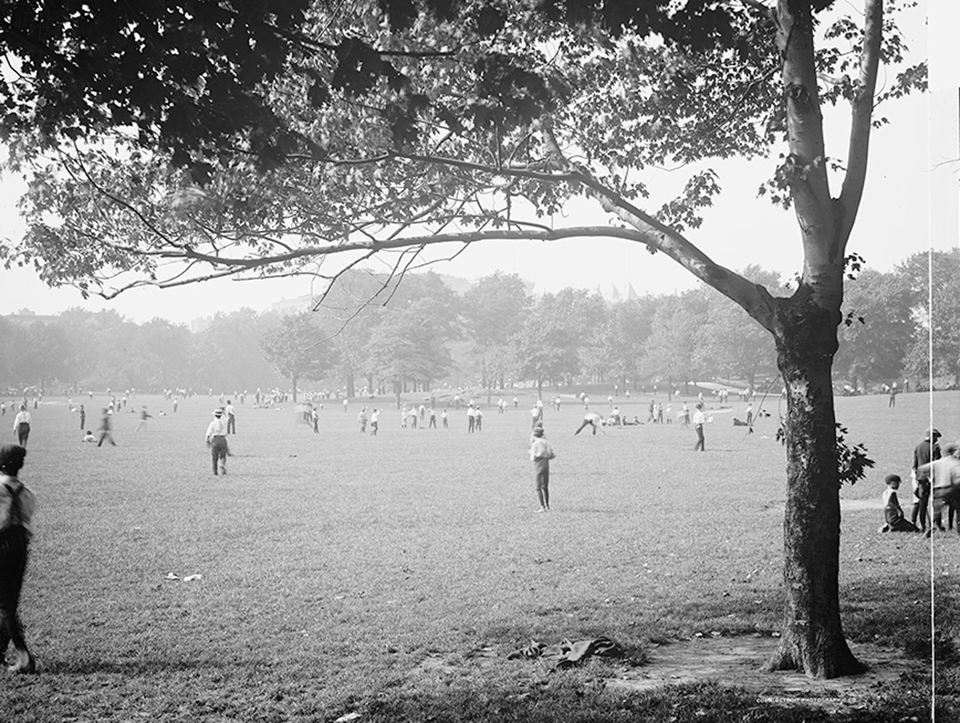 Image 1 Alt Text