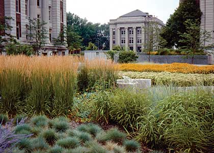 David Lilly Plaza