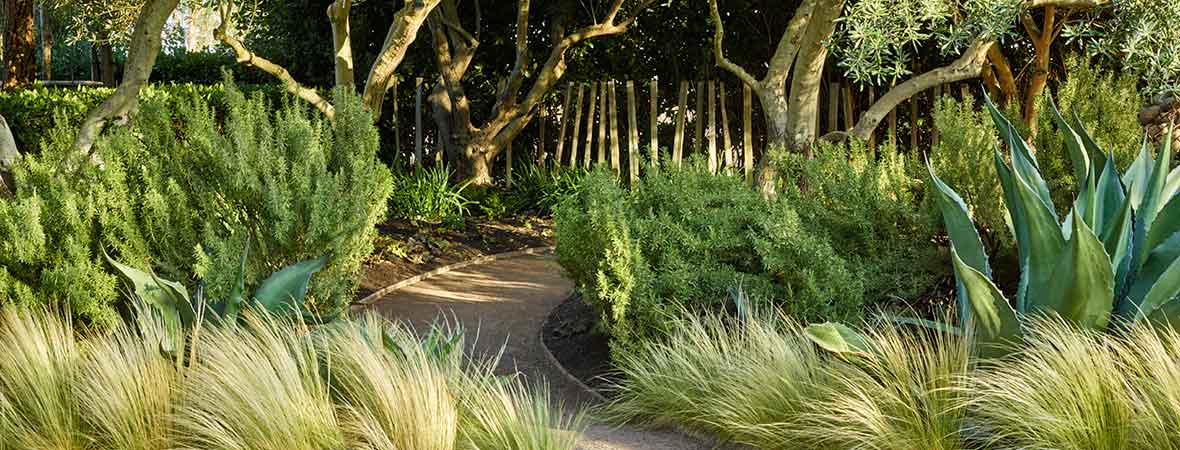 The New American Garden, The Landscape Architecture of Oehme, van Sweden  (The Cultural Landscape Foundation)