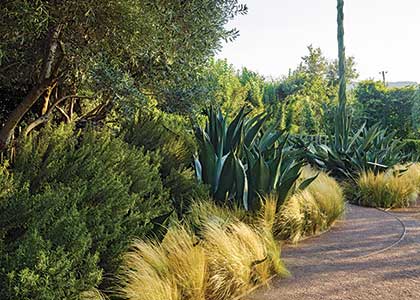 Garden at Cornerstone