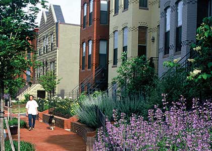 Townhomes on Capitol Hill