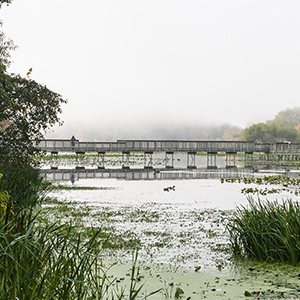 John Heinz National Wildlife Refuge at Tinicum