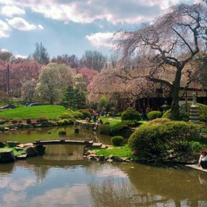 Shofuso Japanese House and Garden