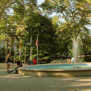 Washington Square 