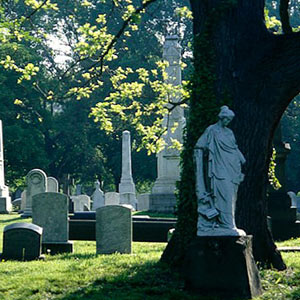 Woodlands Cemetery 