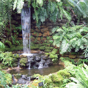 Garfield Park Conservatory