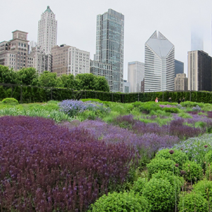 Lurie Garden