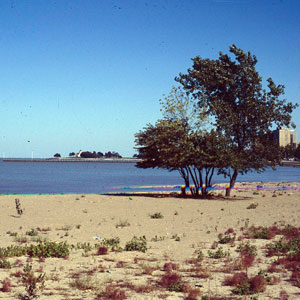 Promontory Point Park