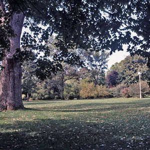 Mahoney Farm Preserve