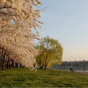 East Potomac Park