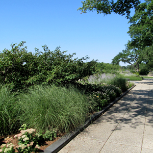 German-American Friendship Garden