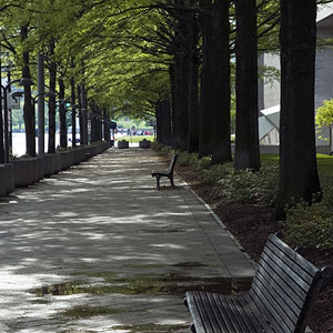 National Gallery of Art, East Building Plaza