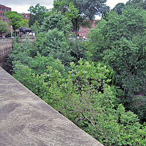 Rock Creek Park