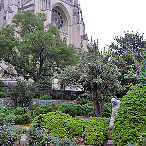 Washington National Cathedral