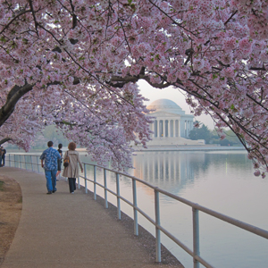 West Potomac Park