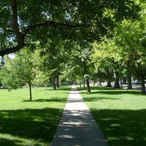 Cheesman Park Esplanade