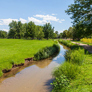 City Ditch