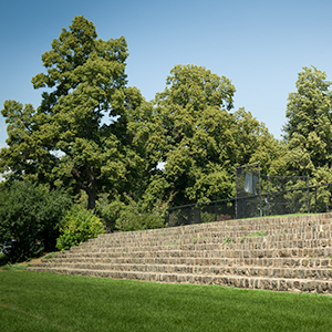 Congress Park - Denver